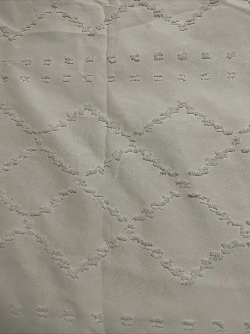Neutral Ivory Textured Curtain with Tassel Trim - shower curtain